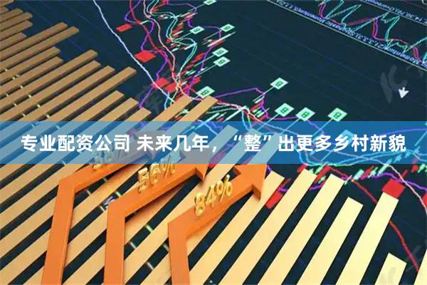 专业配资公司 未来几年,“整”出更多乡村新貌