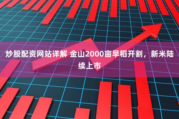炒股配资网站详解 金山2000亩早稻开割,新米陆续上市